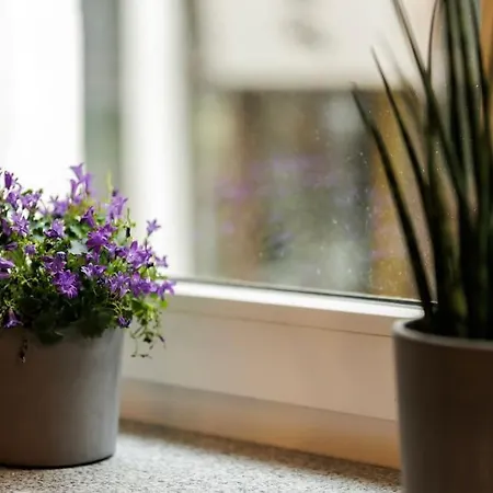 Weronika's Urban Hideaway Apartment