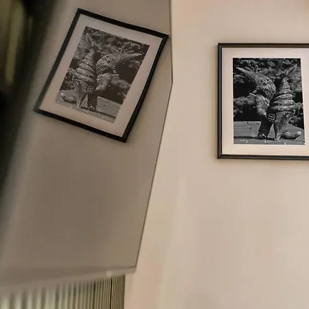 Weronika's Urban Hideaway Wroclaw