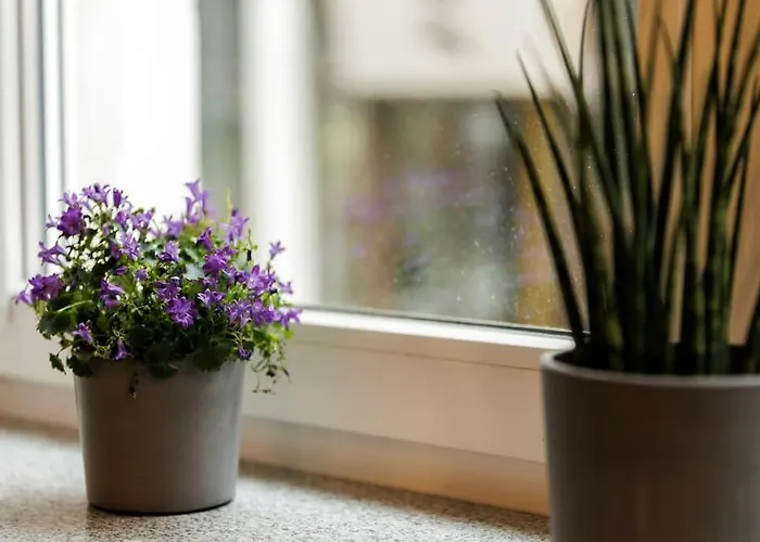 Weronika's Urban Hideaway アパート